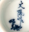画像6: トリケラトプス　ぐい吞 (6)