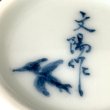 画像6: プテラノドン　ぐい吞 (6)
